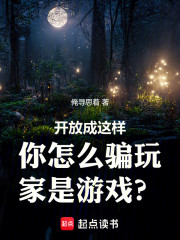 开放成这样你怎么骗玩家是游戏？