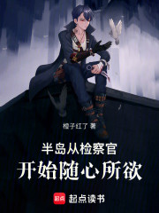 半岛：从检察官开始随心所欲
