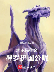 才不是什么神罗护国公呢