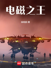 电磁之王