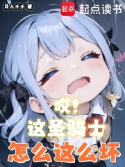 哎！这圣骑士怎么这么坏