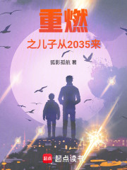 重燃之儿子从2035来