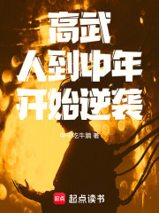 高武：人到中年，开始逆袭