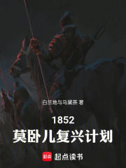 莫卧儿复兴计划