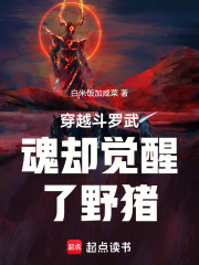 斗罗：擅长防御，不全能