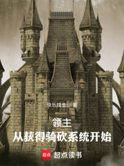 领主：从获得骑砍系统开始