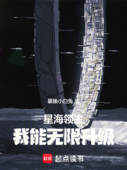 星海领主：我能无限升级