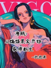 海贼，退休老登冒险记