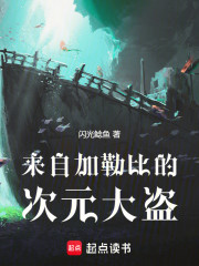 来自加勒比的次元大盗