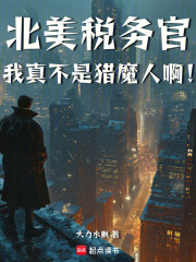 北美税务官，我真不是猎魔人啊！