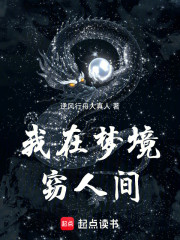 我在梦境窃人间