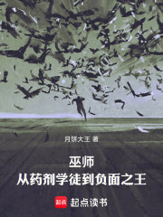 巫师：从药剂学徒到负面之王