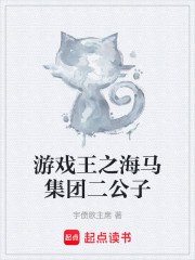 游戏王之海马集团二公子