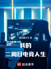 我的二周目电竞人生