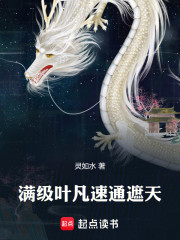 满级叶凡，速通遮天