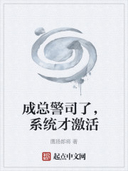 成总警司了，系统才激活