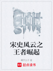 宋史风云之王者崛起