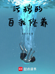 双星阴阳师之岚