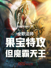 全职法师：果宝特攻，但魔霸天王