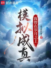 模拟成真：我曾在岁月之上