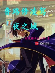 鲁路修凌驾夜之城