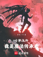 全职法师：我是魔法传承者