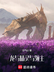龙与精灵与领主