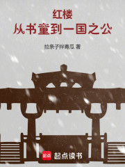 红楼：从书童到一国之公
