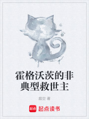 霍格沃茨的非典型救世主