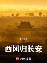 西风归长安