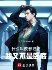 什么叫改邪归正，我又不是卧底