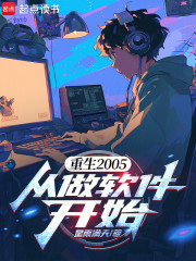 重生2005，从做软件开始