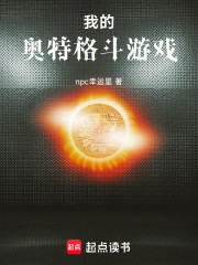 我的奥特格斗游戏