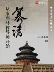 篡清：从康熙毕业论文开始