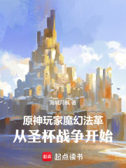 原神玩家魔幻法革从圣杯战争开始