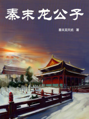 秦末龙公子