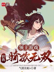 领主游戏，但我骑砍无双