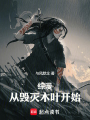 综漫：从毁灭木叶开始