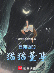 日向坂的猫猫董事