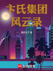 卞氏集团风云录