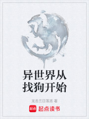 异世界从找狗开始