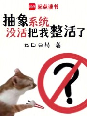 抽象系统，没活把我整活了
