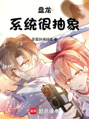 盘龙：系统很抽象