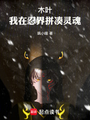 木叶：我在忍界拼凑灵魂