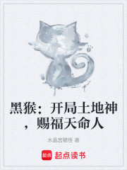 黑猴：开局土地神，赐福天命人
