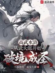 高武水浒：从武大郎开始破境成圣