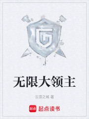 无限大领主