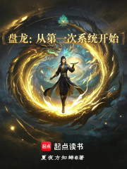 盘龙：从第一次系统开始