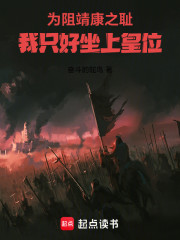 为阻靖康之耻，我只好坐上皇位