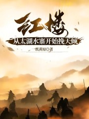 红楼：从太湖水寨开始挽天倾